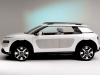 Citroen Cactus Concept 2013