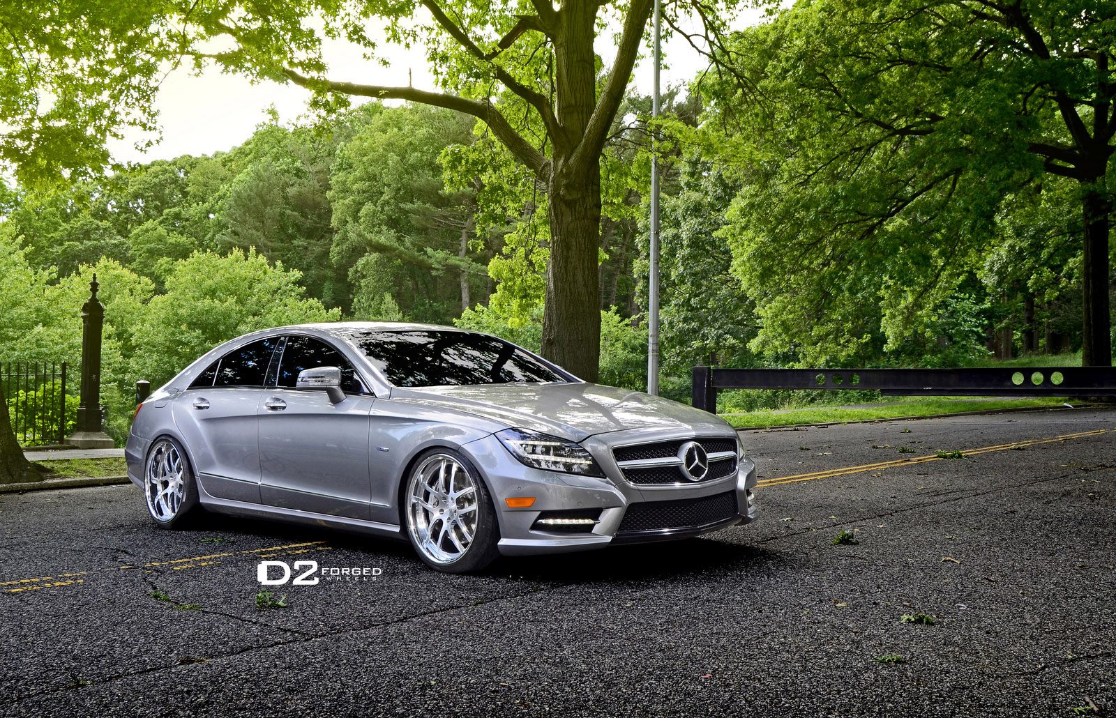 D2Forged Mercedes-Benz CLS-550 FMS08 photo #1