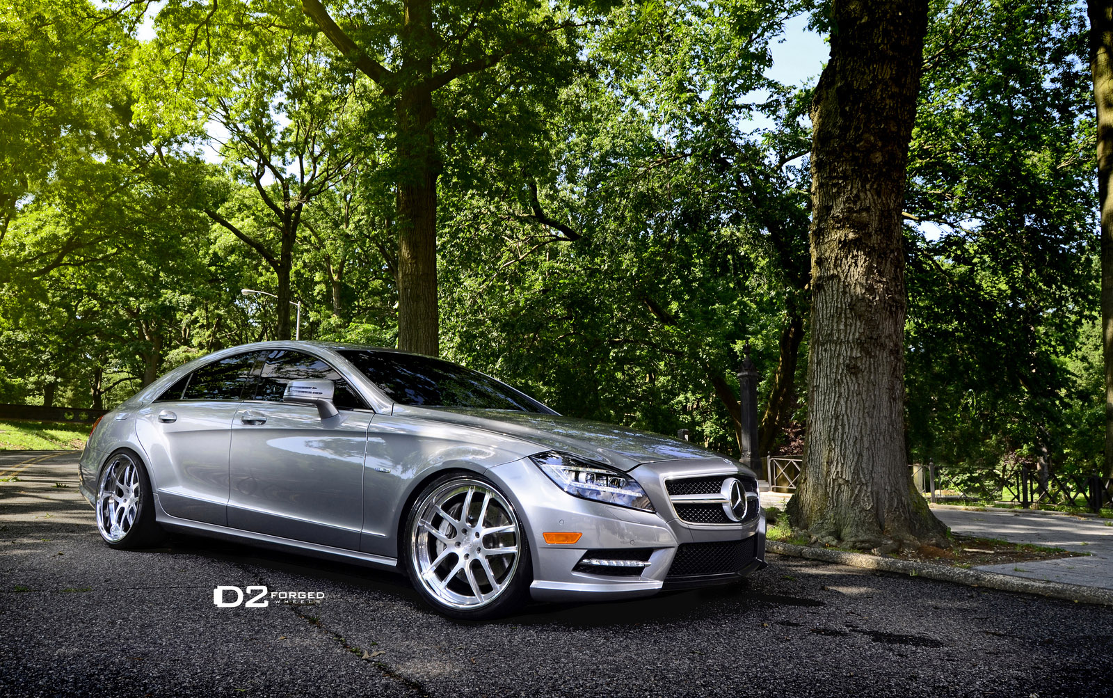 D2Forged Mercedes-Benz CLS-550 FMS08 photo #2