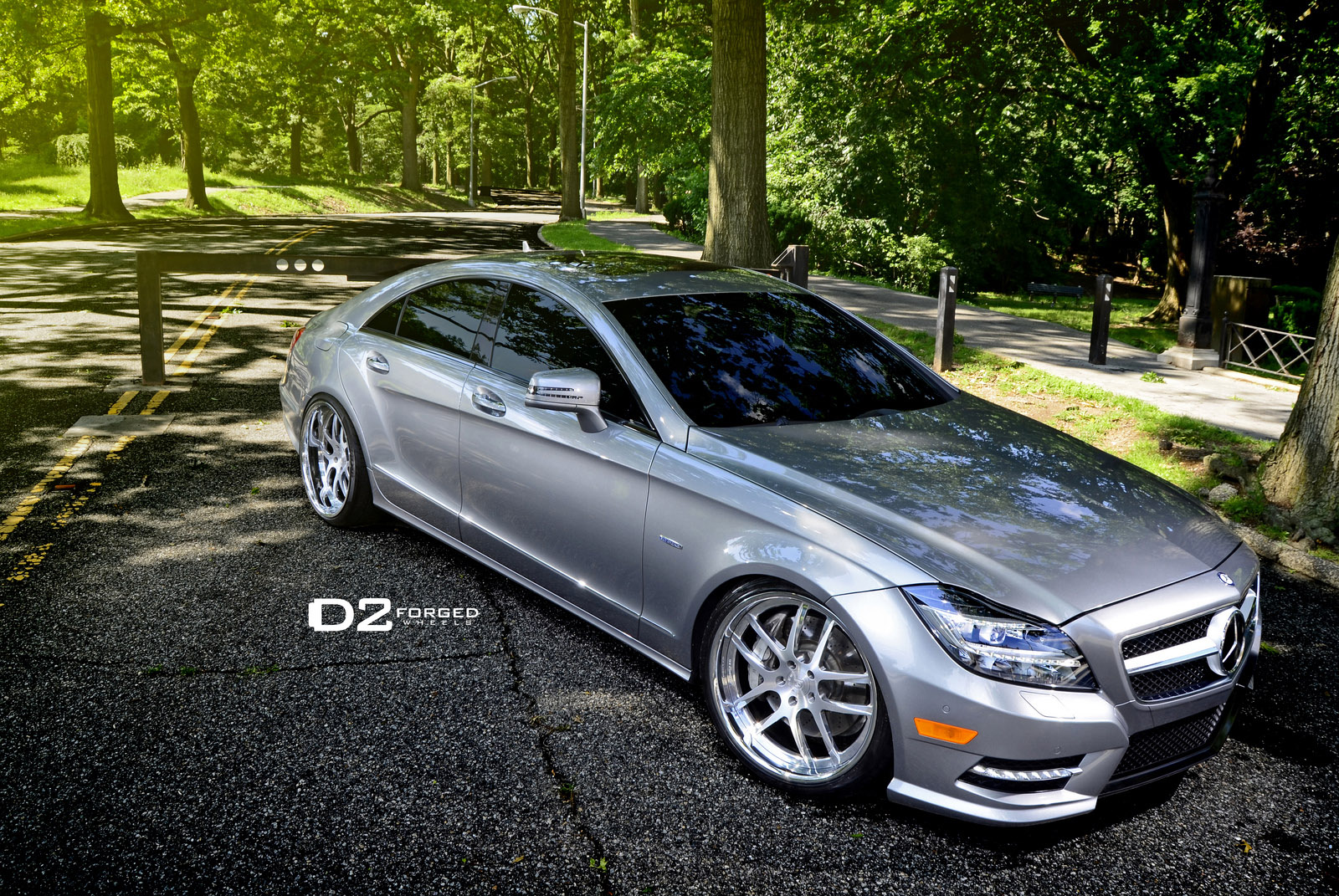 D2Forged Mercedes-Benz CLS-550 FMS08 photo #3