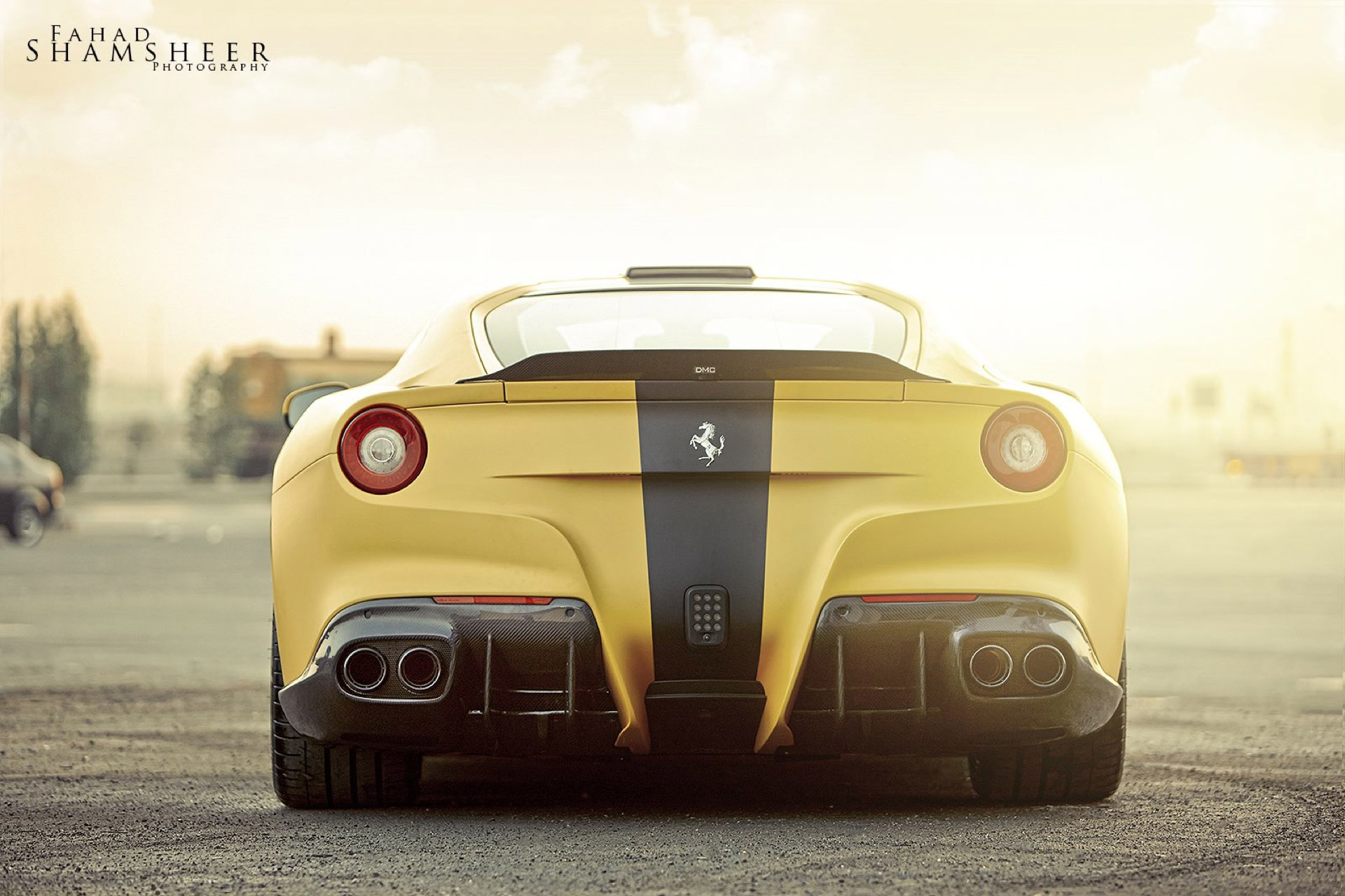 DMC Ferrari F12 SPIA Middle East Special Edition photo #3