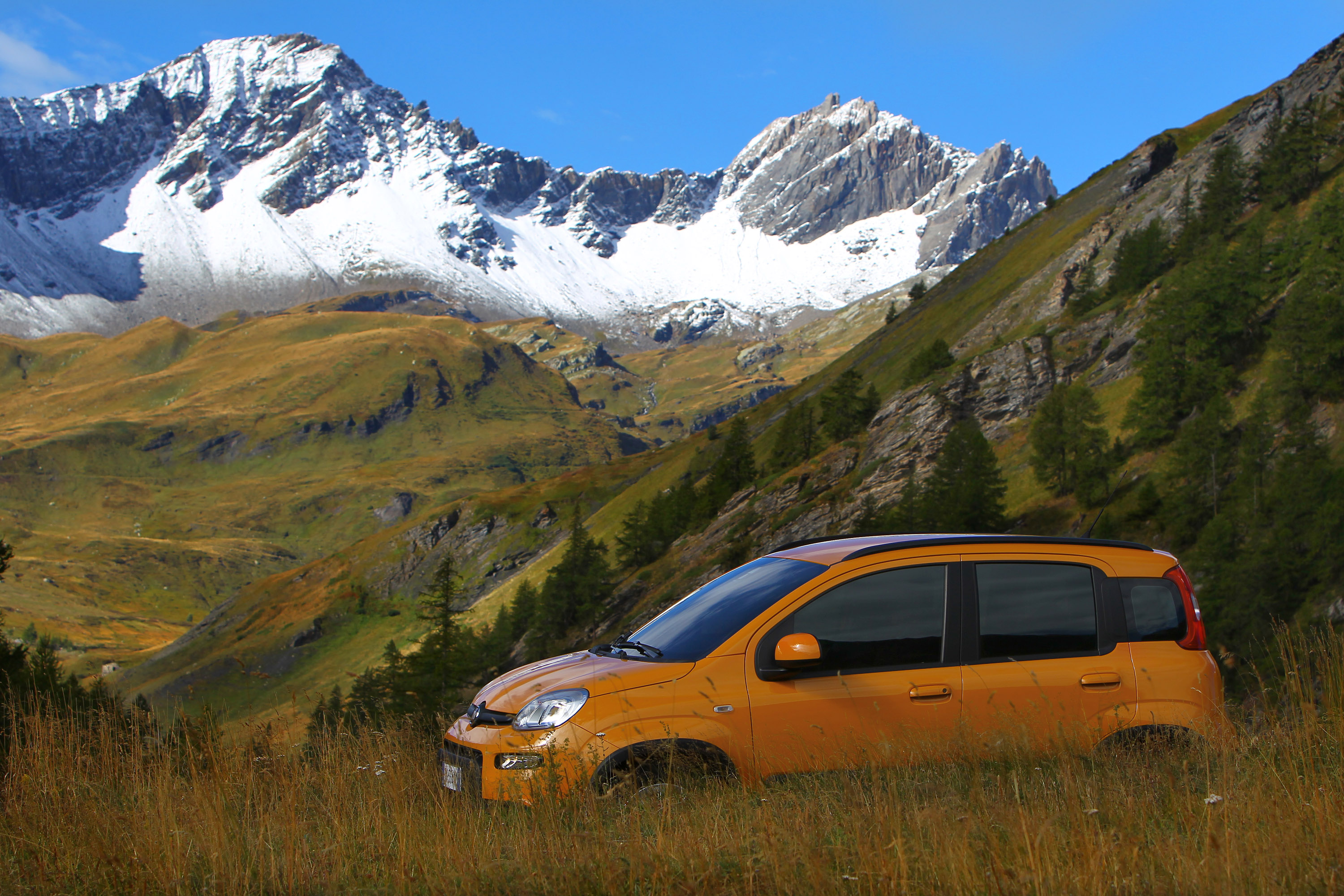 Fiat Panda Trekking photo #28