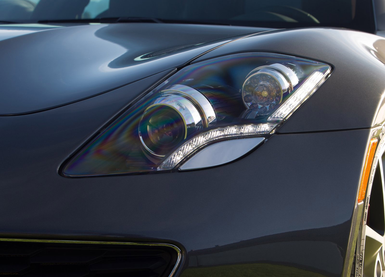 Fisker Surf photo #29