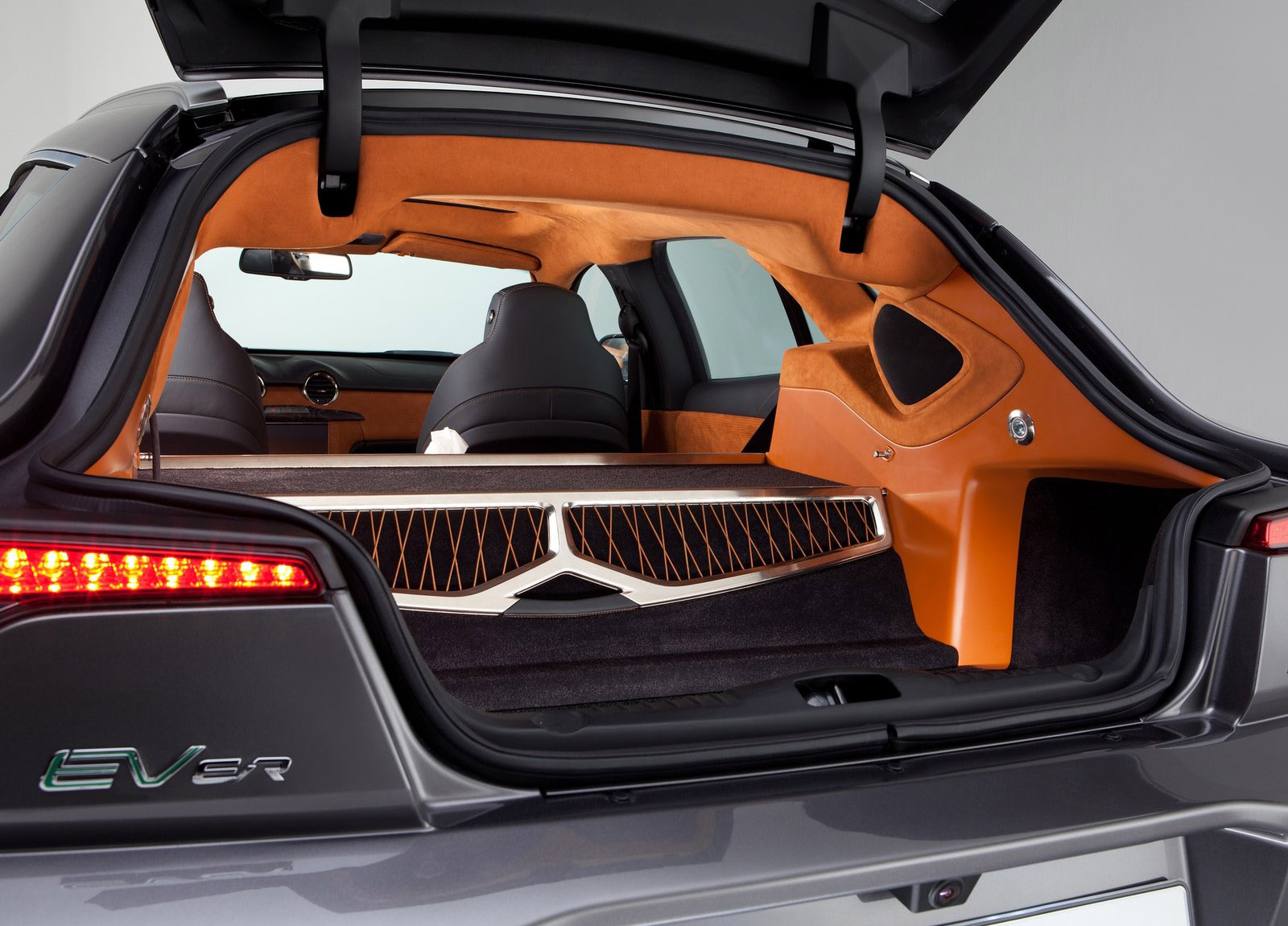 Fisker Surf photo #40