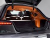 Fisker Surf 2013