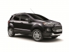 2013 Ford EcoSport Limited Edition thumbnail photo 14553