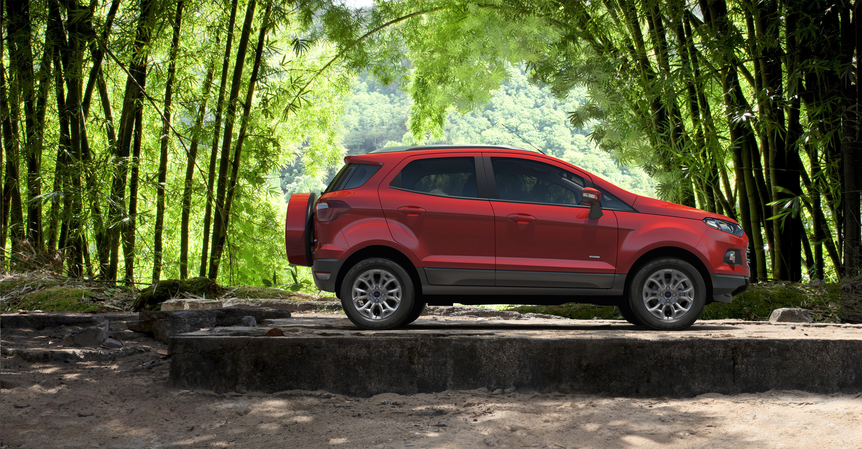 Ford Ecosport photo #8