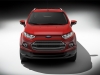 2013 Ford Ecosport