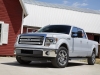 2013 Ford F-150 thumbnail photo 11787