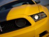 2013 Ford Mustang Boss 302 thumbnail photo 79671