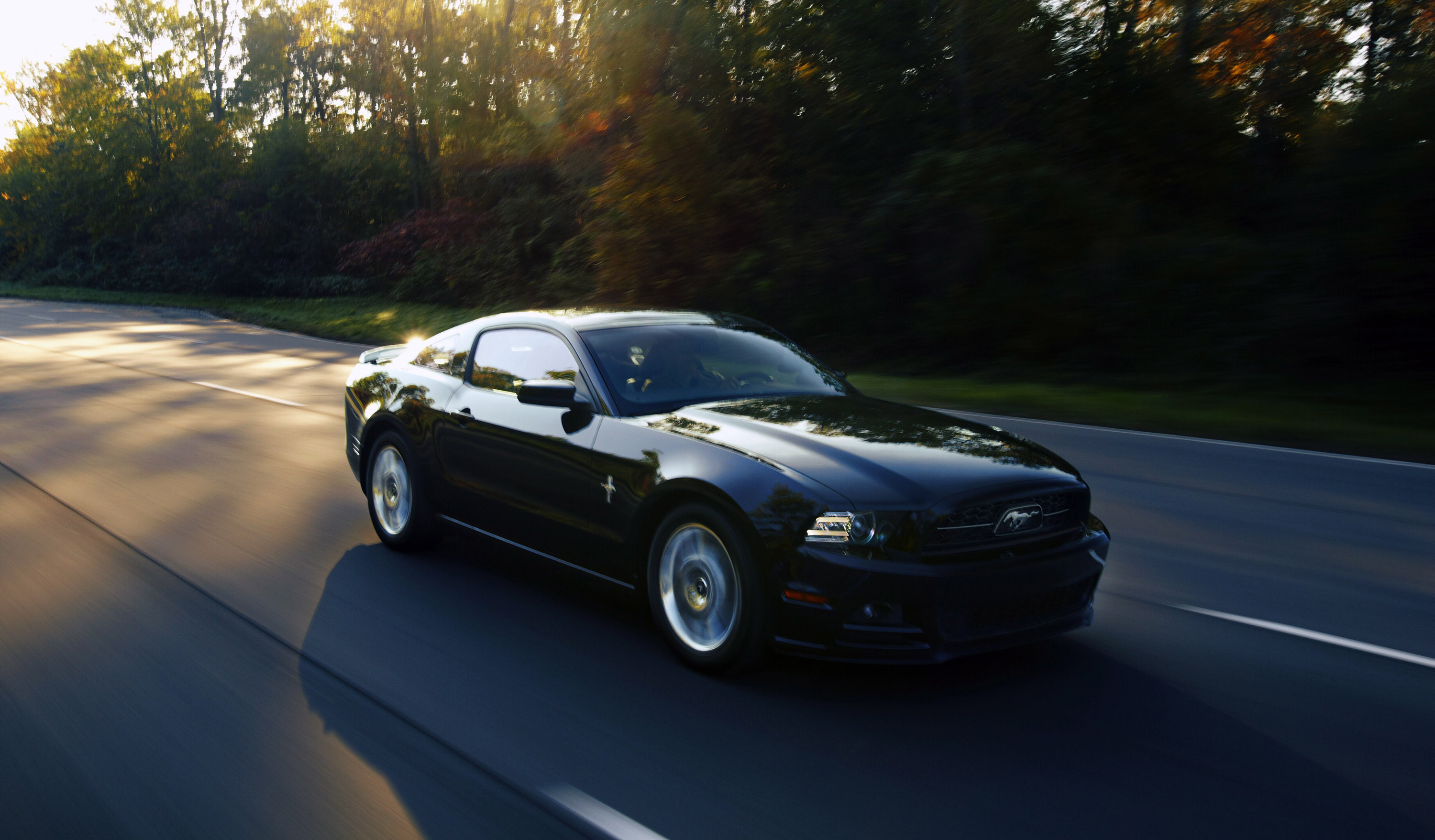 Ford Mustang GT photo #8