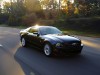 2013 Ford Mustang GT thumbnail photo 79542