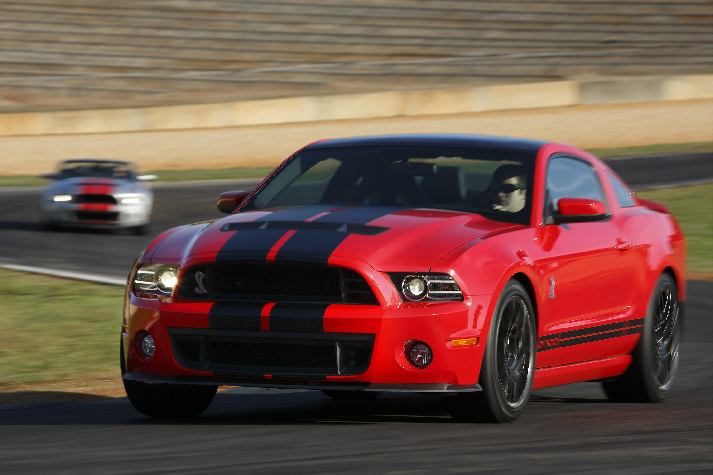 Mustang shelby gt