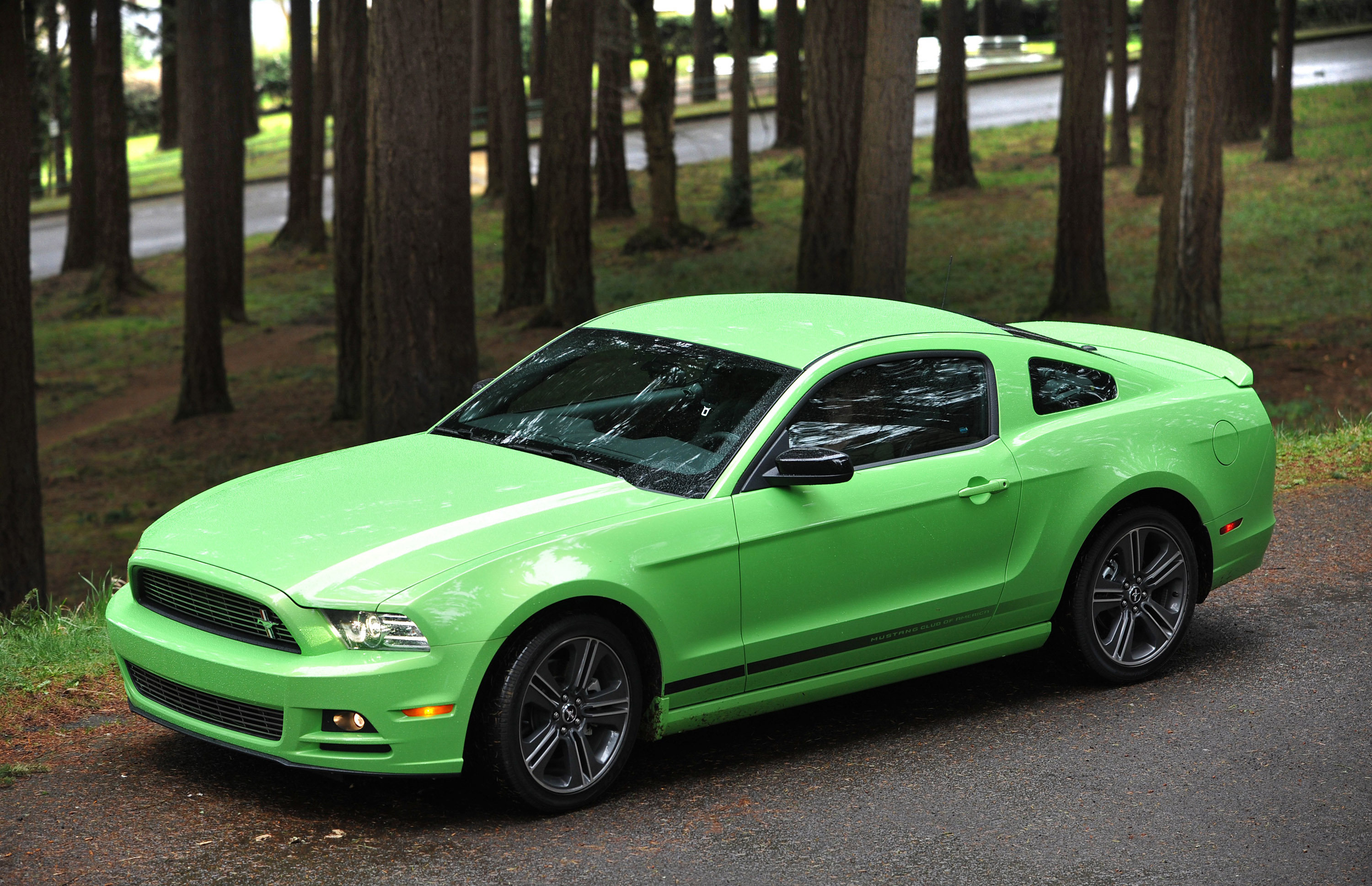 Ford Mustang photo #18