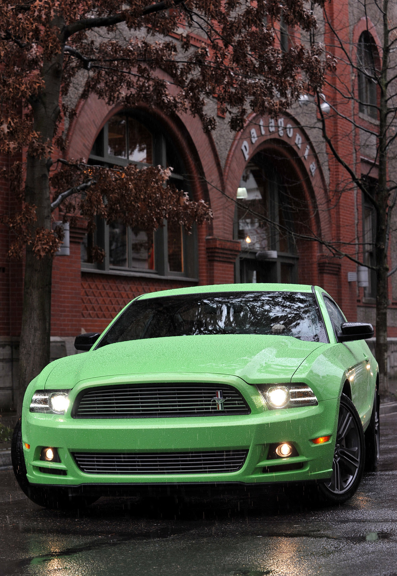 Ford Mustang photo #20