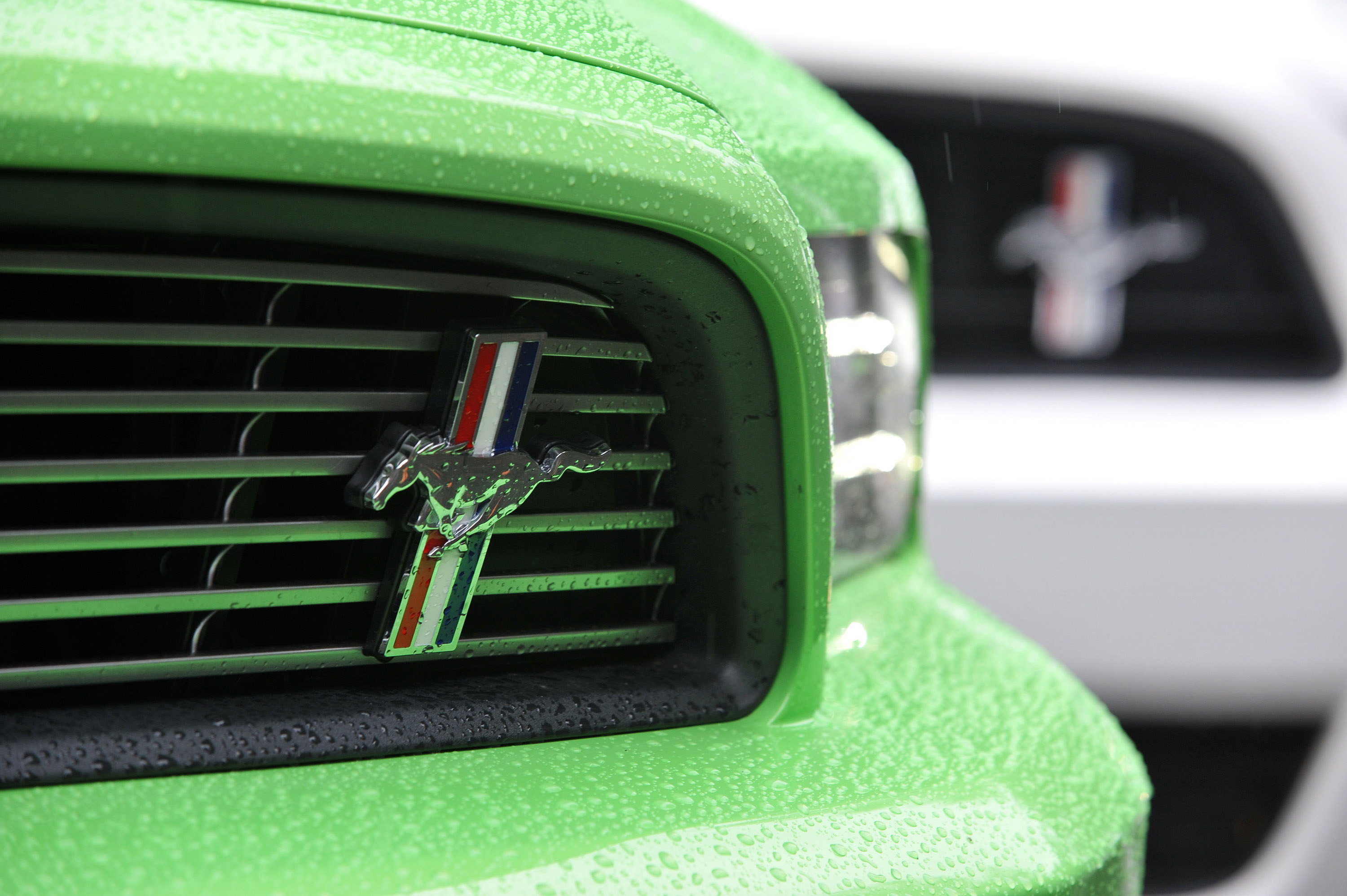 Ford Mustang photo #21