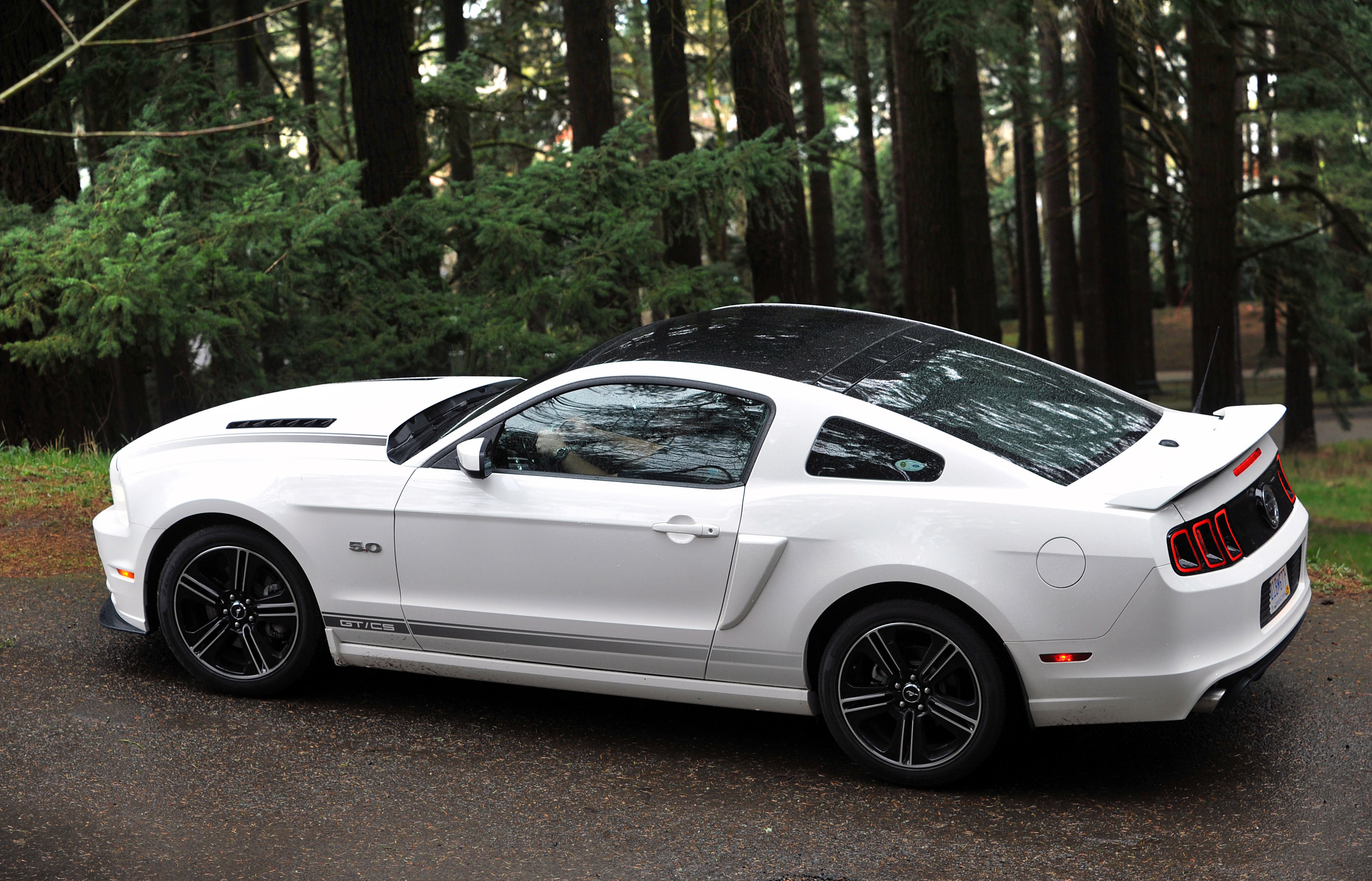 Ford Mustang photo #46