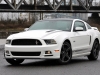 2013 Ford Mustang thumbnail photo 3503