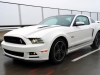 2013 Ford Mustang thumbnail photo 3504