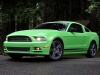 Ford Mustang 2013