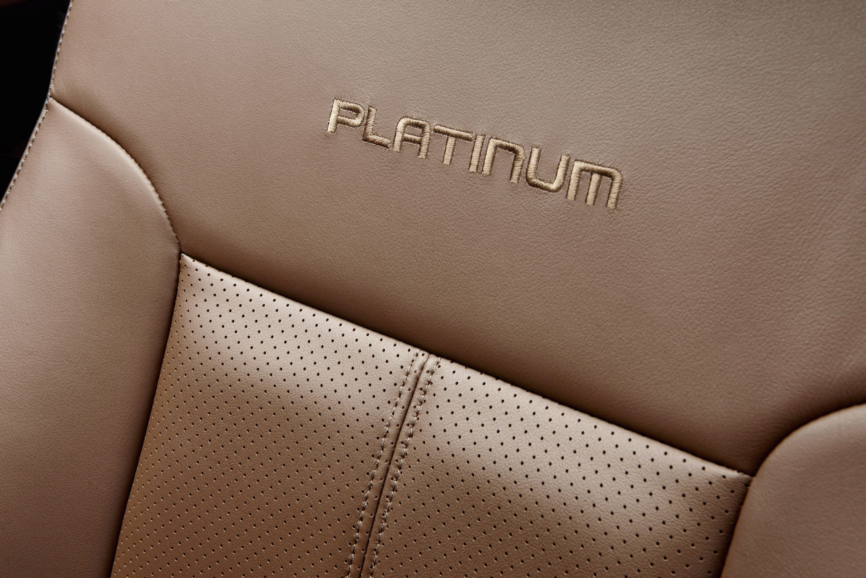 Ford Super Duty Platinum photo #43