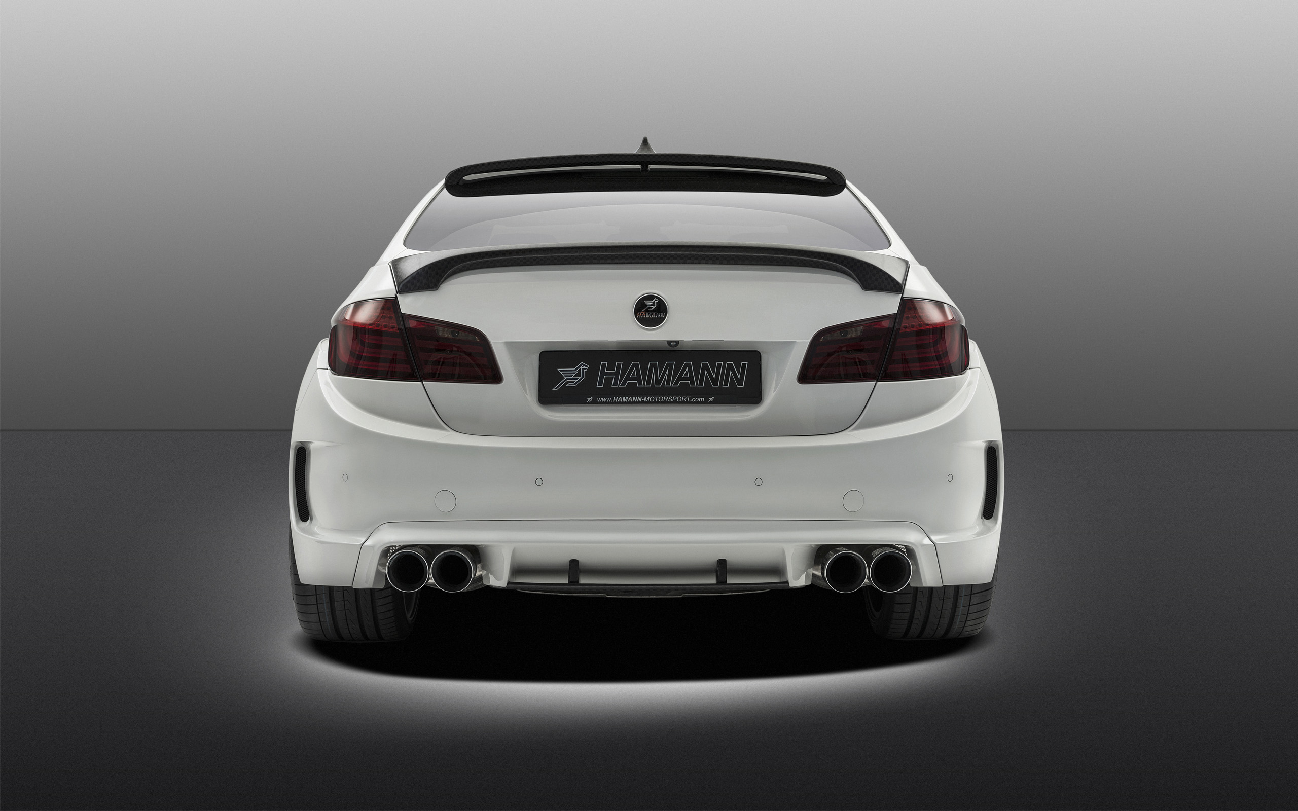 BMW m5 Hamann Tuning