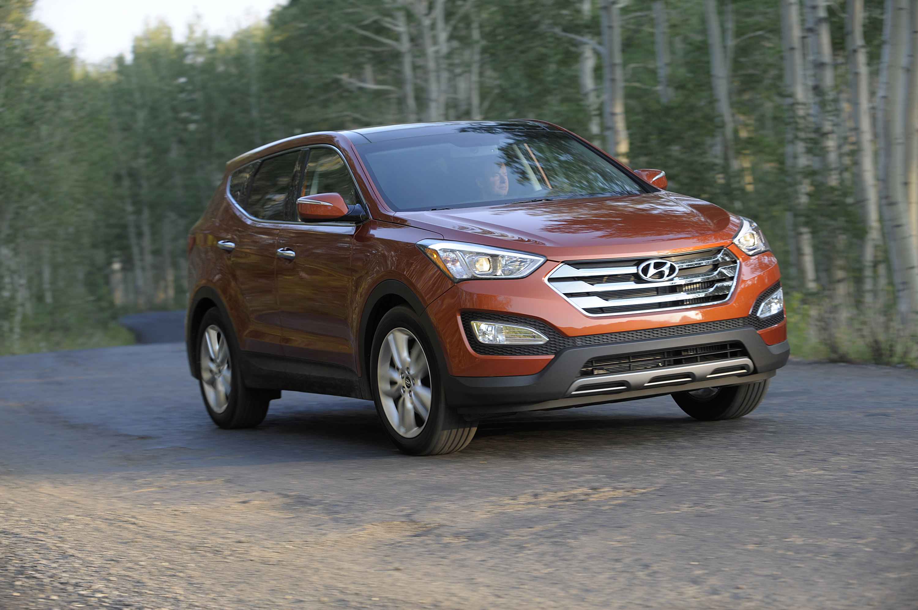 Hyundai Santa Fe photo #17