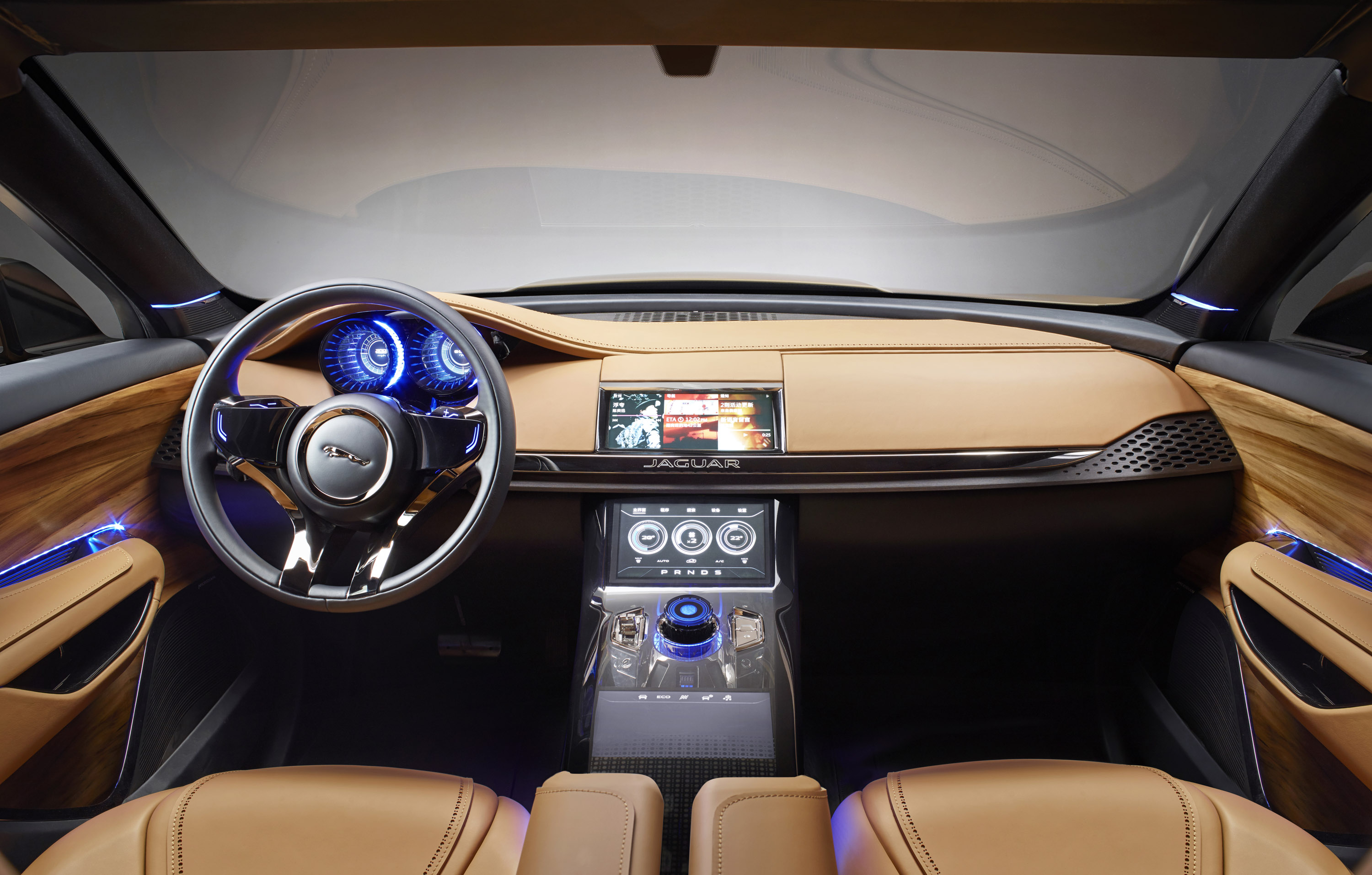 Jaguar C-X17 5-Seater Concept photo #25