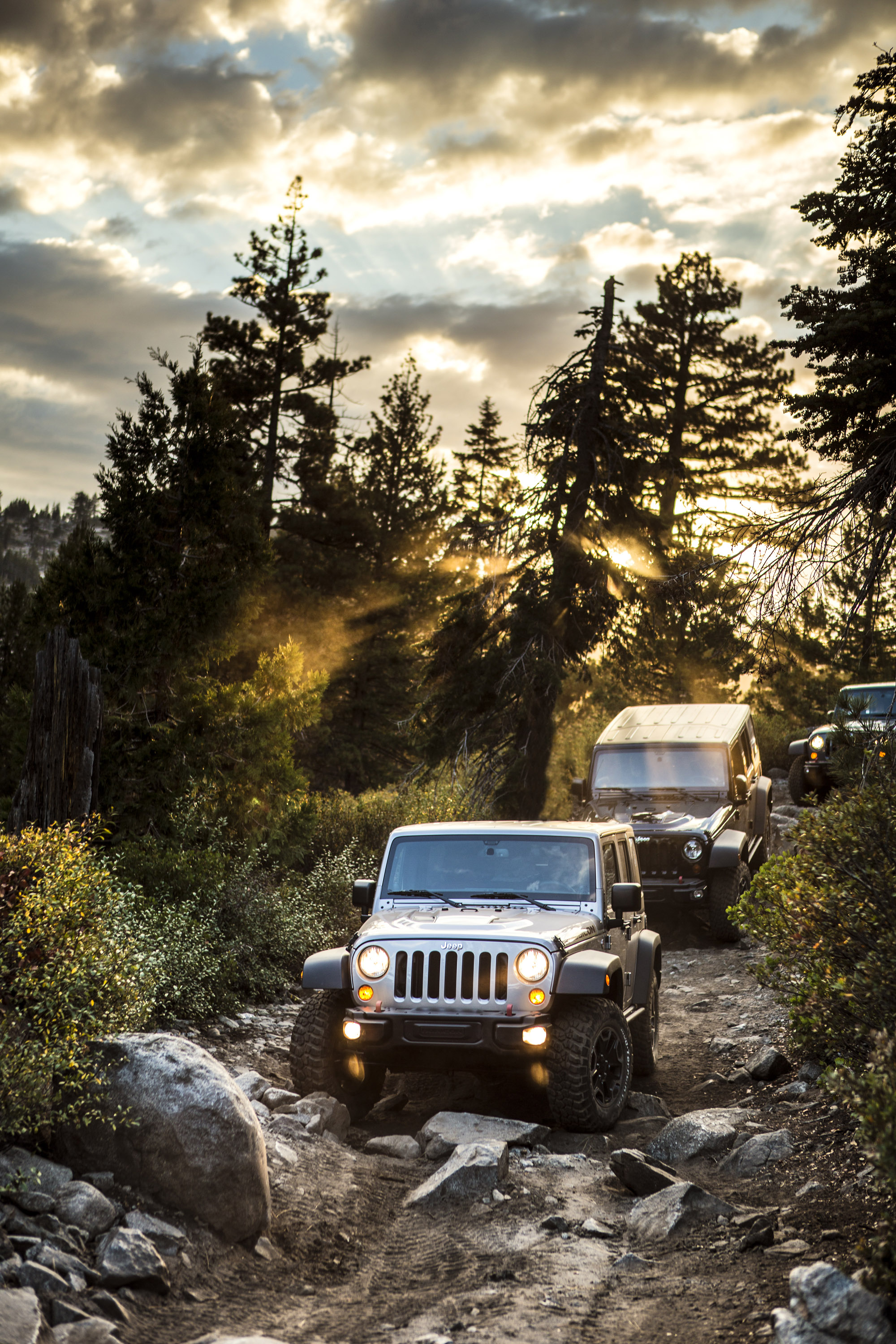 Jeep Wrangler на бездорожье