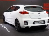 2013 Kia Pro-Ceed GT thumbnail photo 13154
