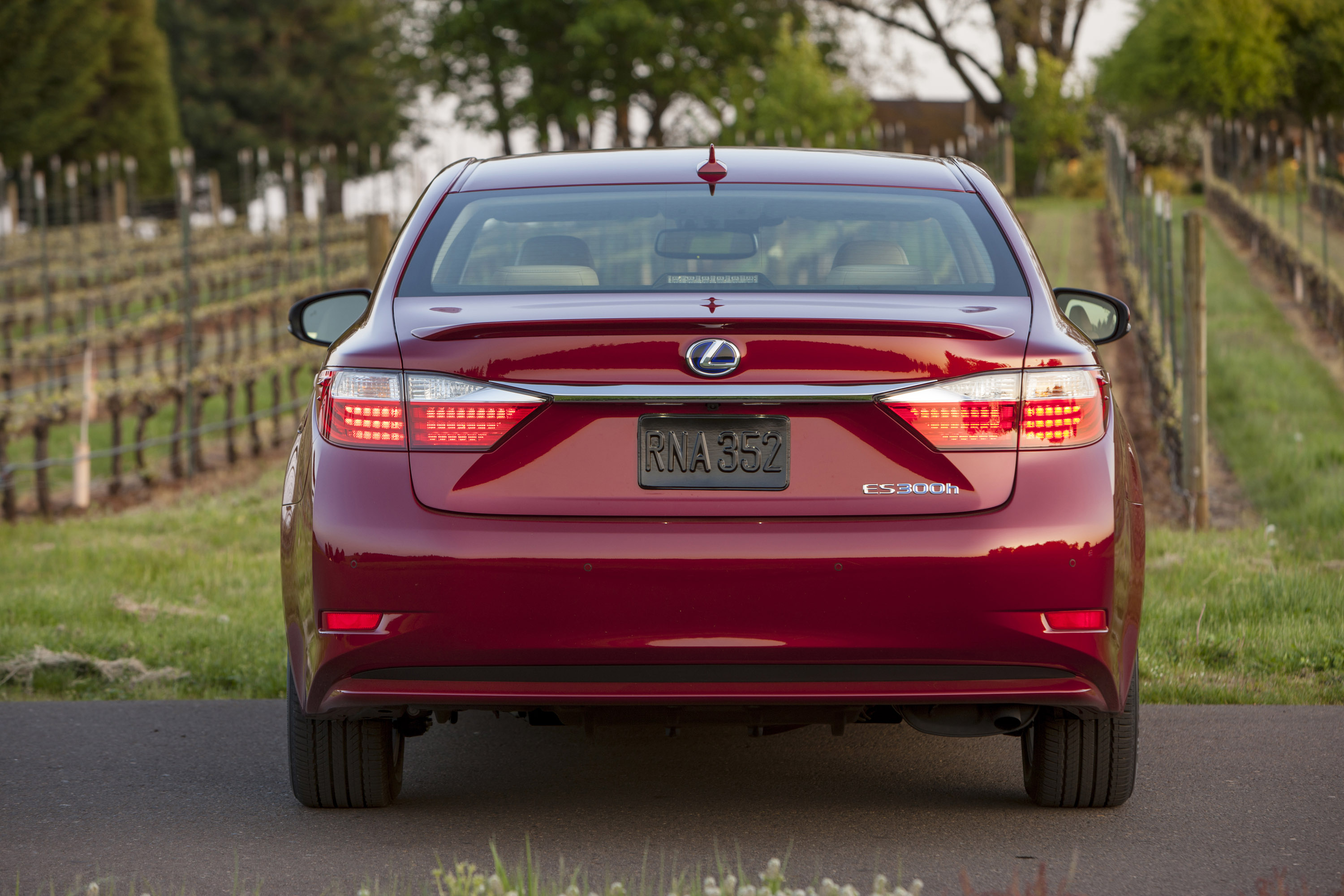 Lexus ES 300h photo #19