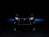 2013 Lexus LS 460 F Sport thumbnail photo 51435