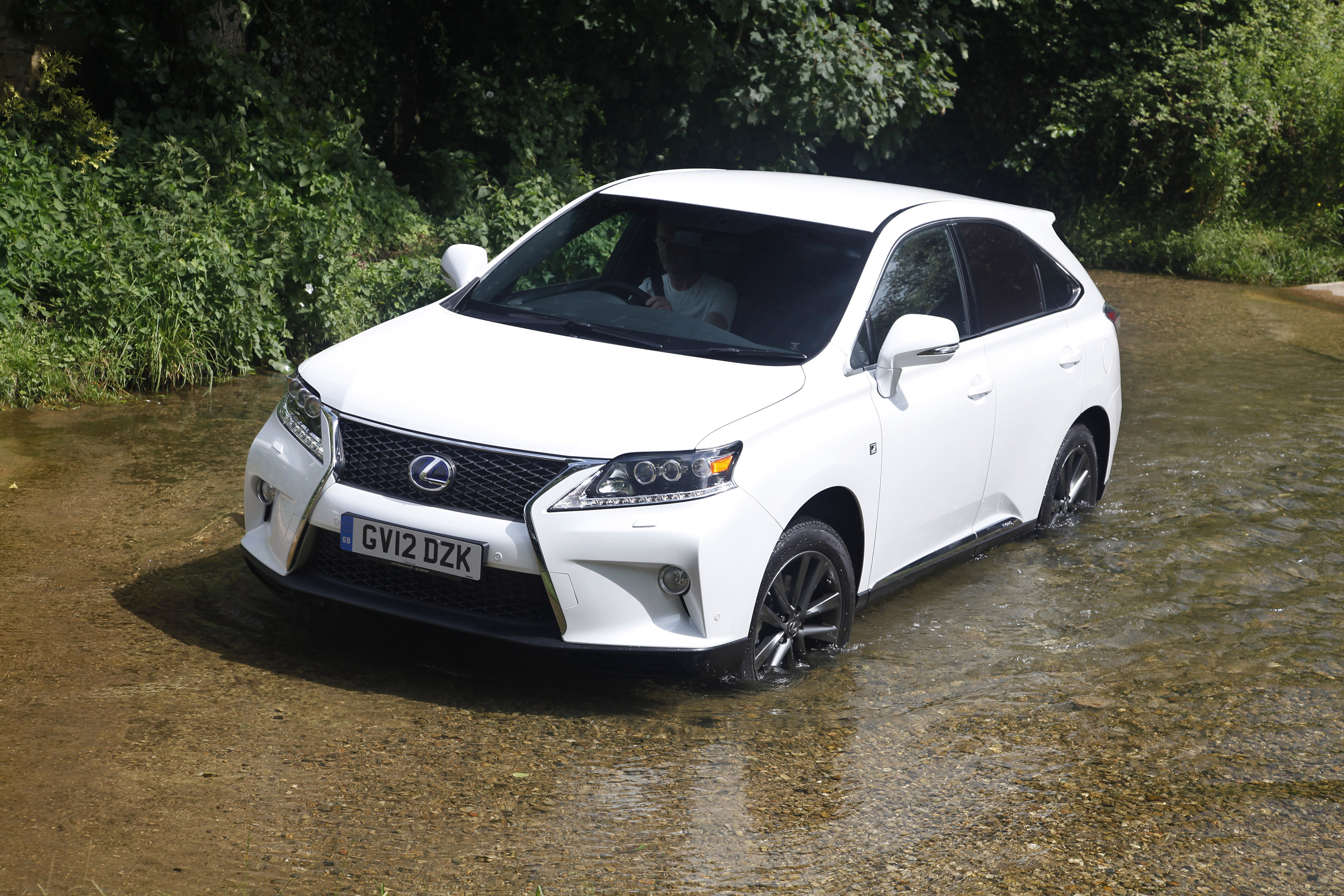 Lexus RX 450h F Sport photo #1