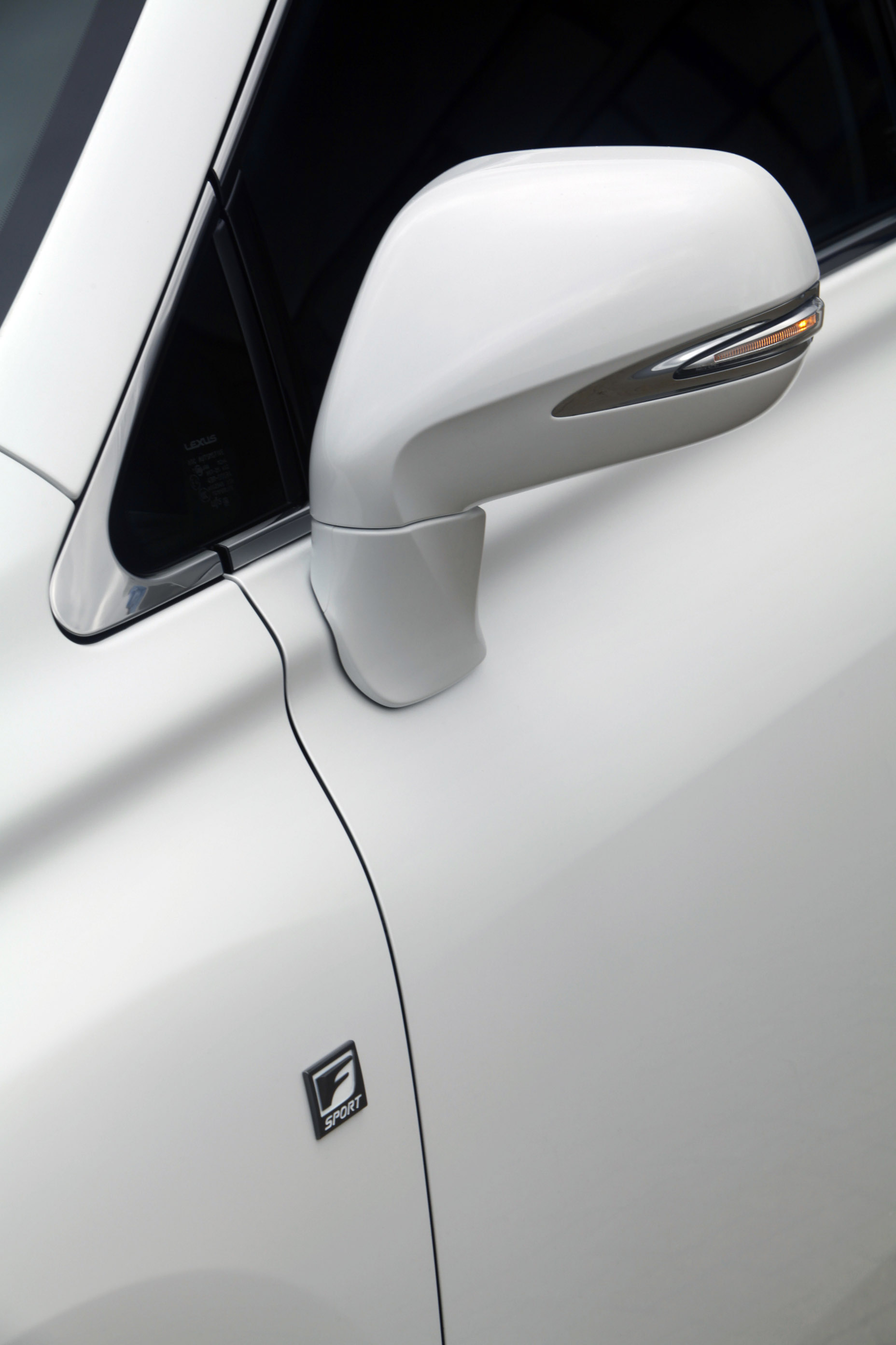 Lexus RX 450h F Sport photo #21