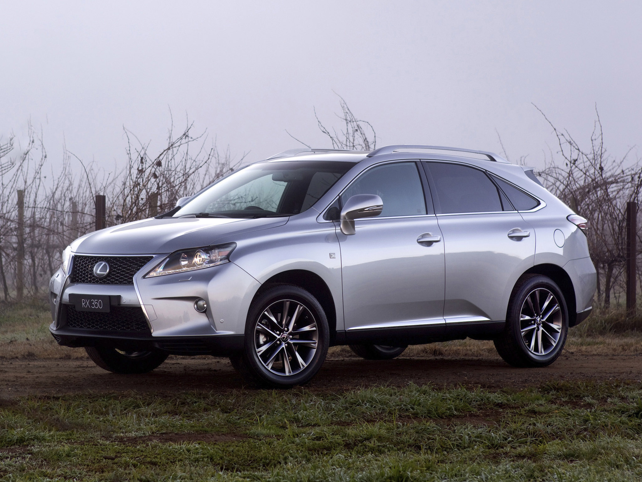 Lexus RX photo #17