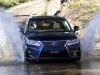 2013 Lexus RX thumbnail photo 4185