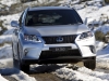 2013 Lexus RX thumbnail photo 4188