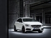 2013 Mercedes-Benz A 45 AMG thumbnail photo 33910