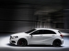 2013 Mercedes-Benz A 45 AMG thumbnail photo 33918