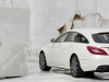 Mercedes-Benz CLS Shooting Brake 2013