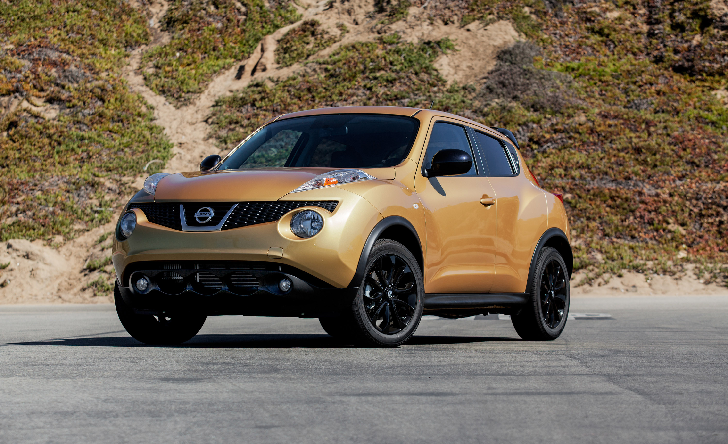 Nissan Juke photo #3