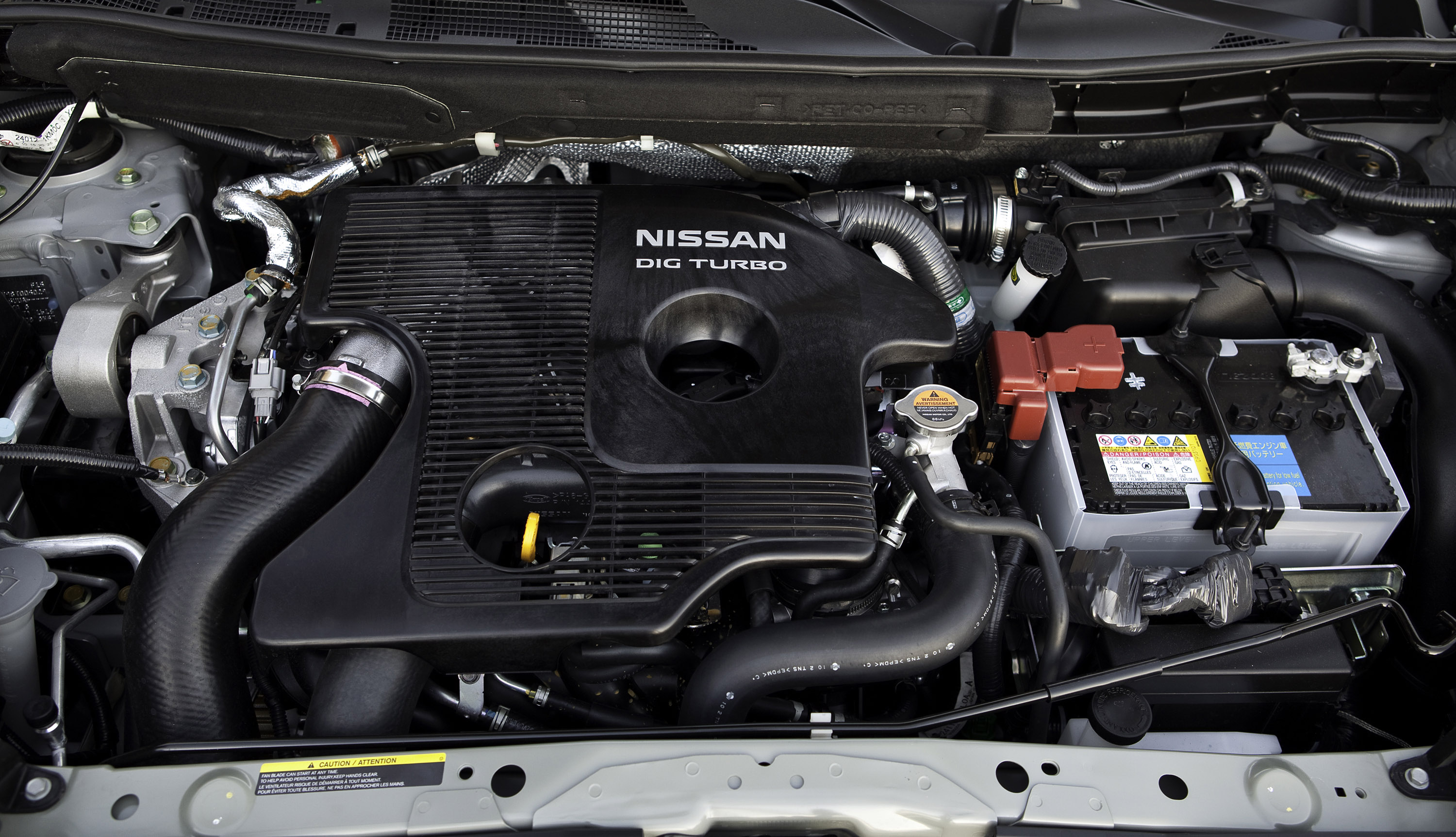 Nissan Juke photo #69