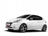 2013 Peugeot 208 GTi thumbnail photo 1164