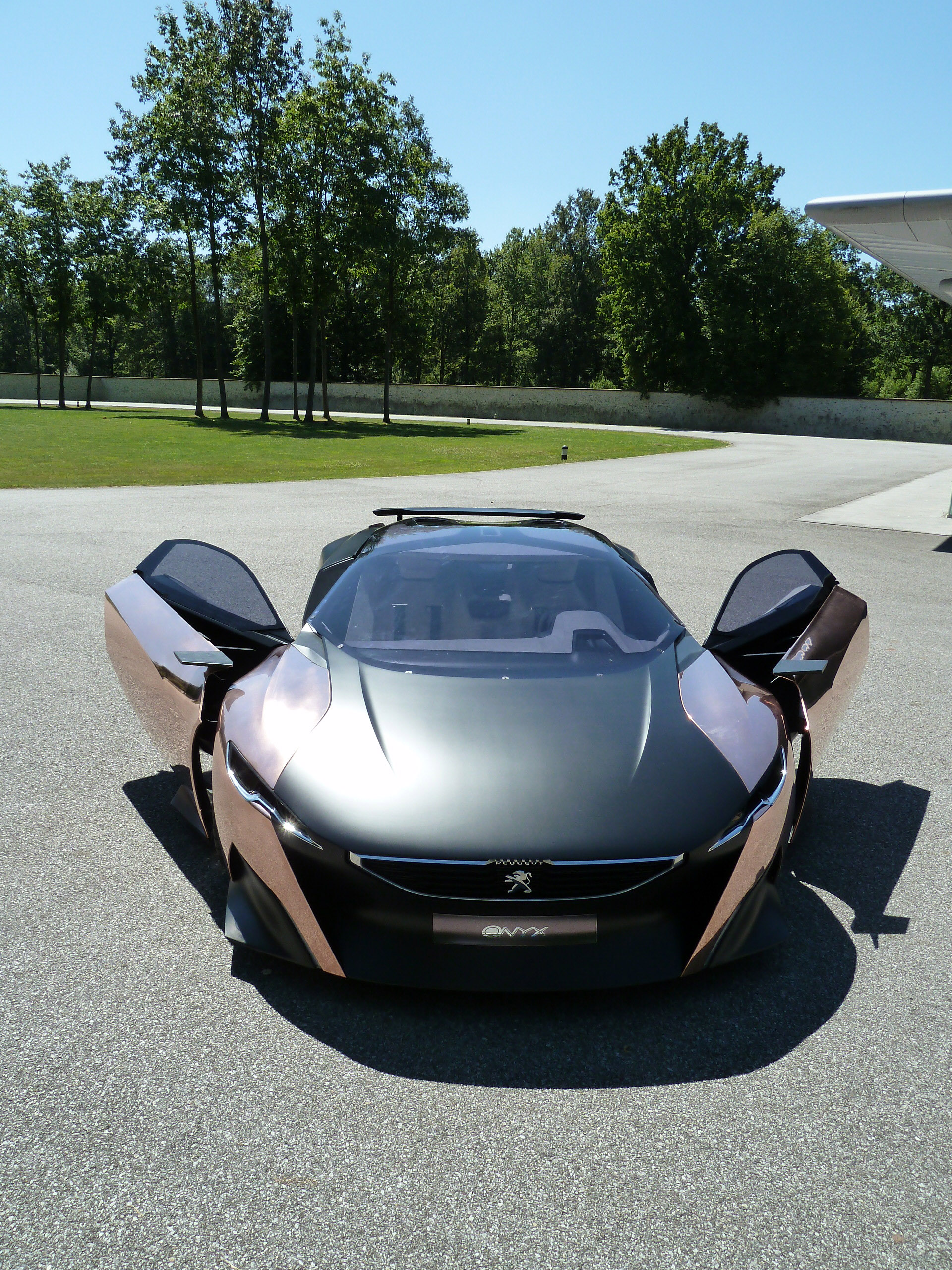 Peugeot Onyx Concept photo #2