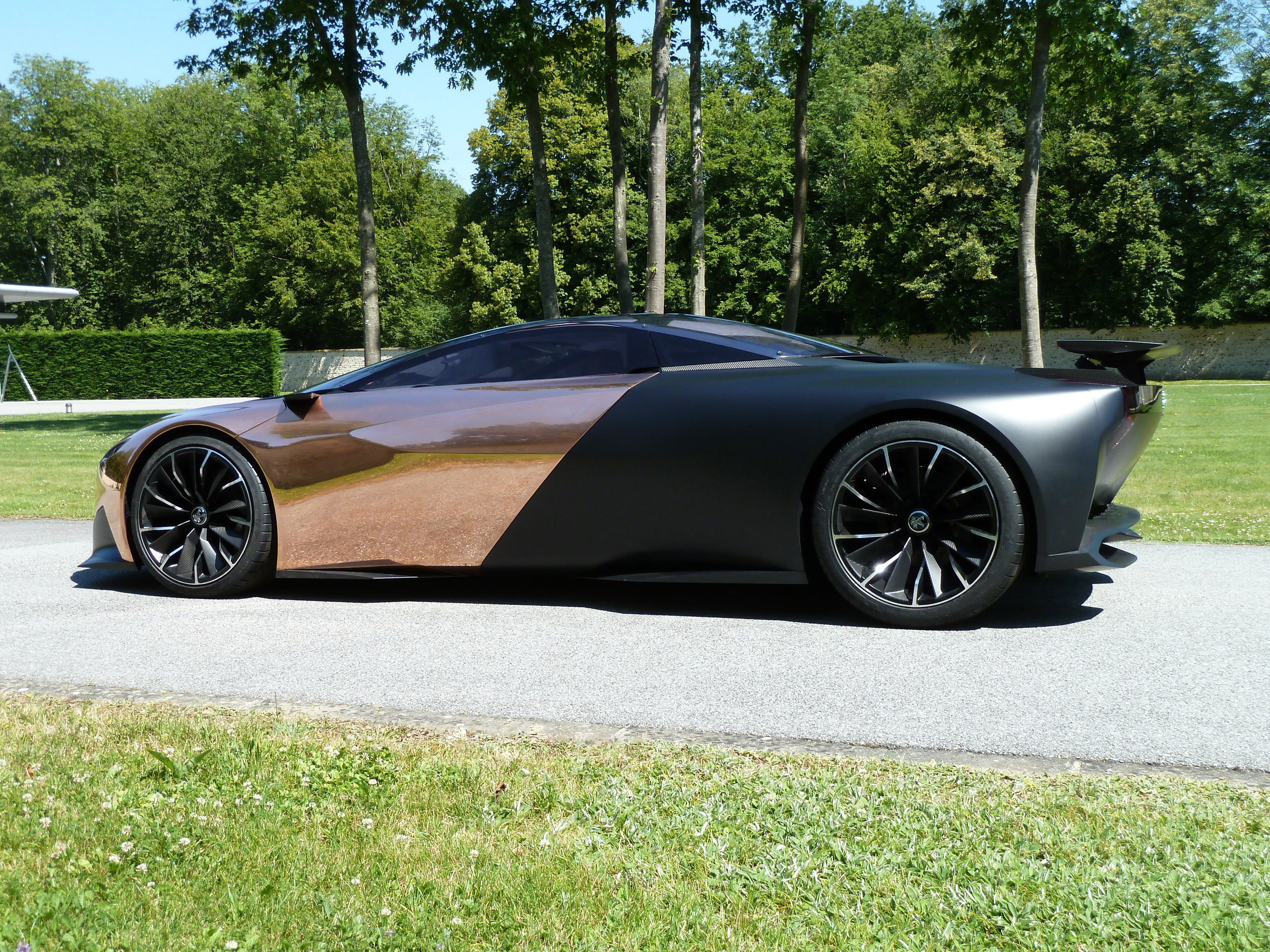 Peugeot Onyx Concept photo #15