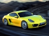 2013 Porsche Cayman thumbnail photo 7566