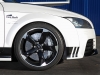 2013 PP-Performance Audi TT RS Black & White thumbnail photo 25872