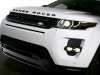 Range Rover Evoque Black Design 2013