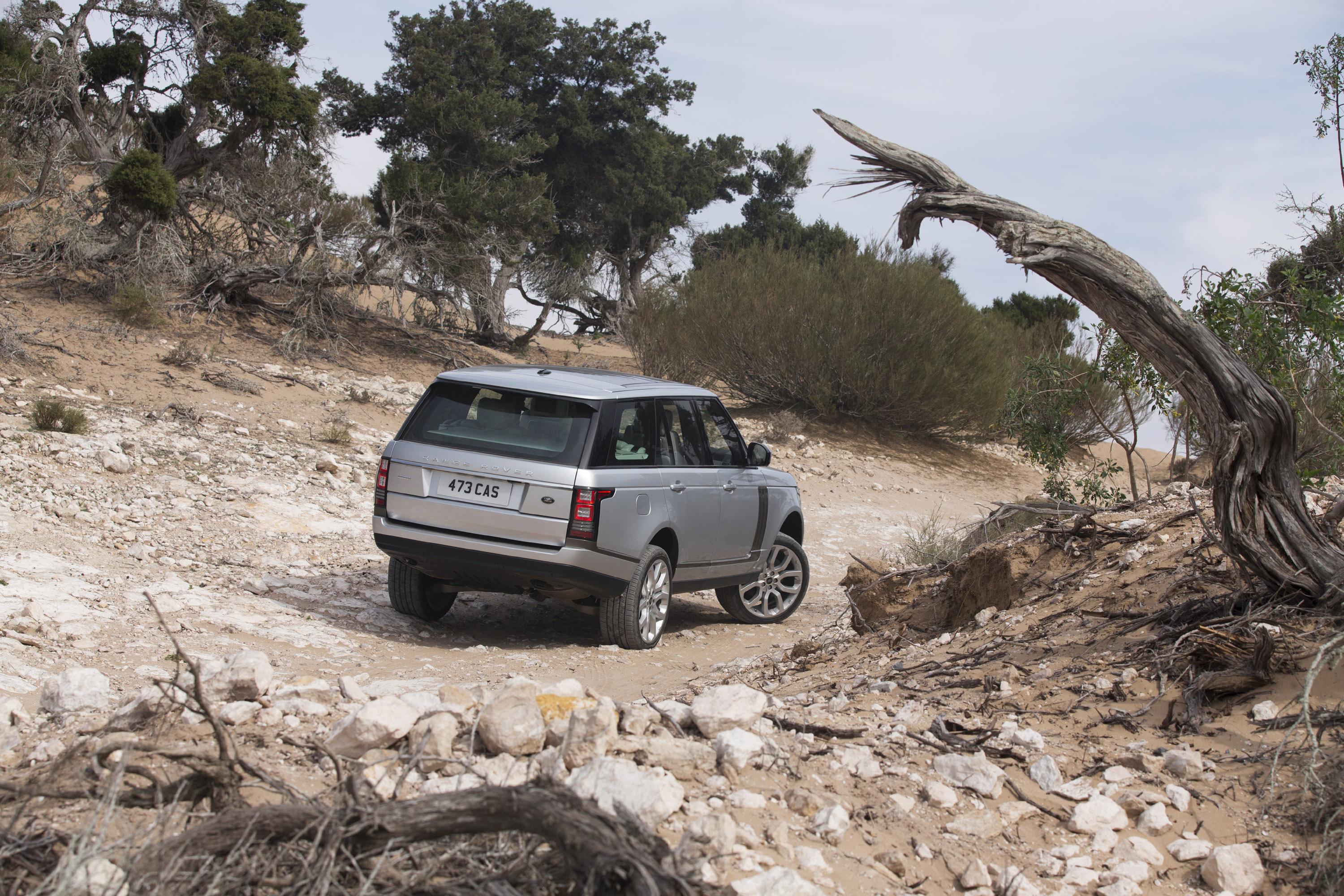 Range Rover photo #83