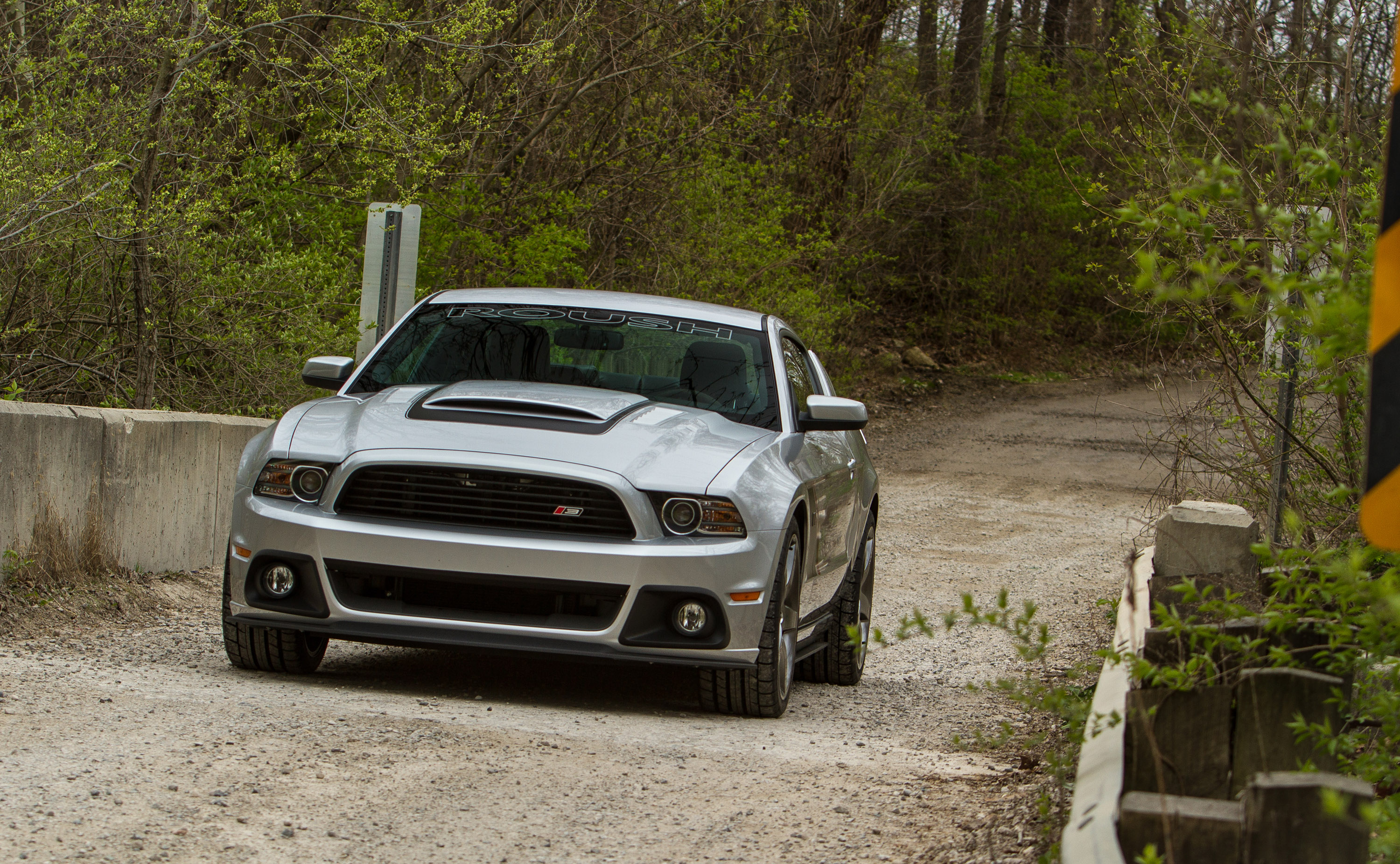 ROUSH Ford Mustang photo #3